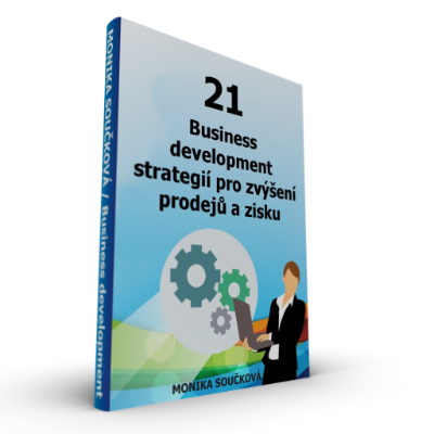 21 Business development strategií zvýšení prodejů a zisku